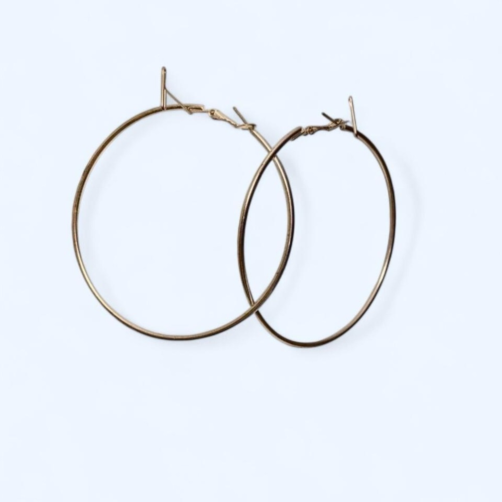 Elegant Silver Hoop Earrings